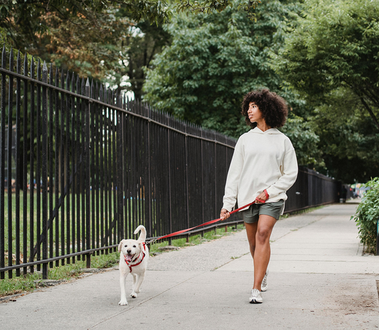 Step Into Fitness: The Benefits of Outdoor Walking